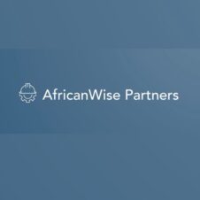 africanwisepartners.com